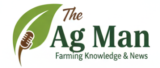 gemini generated image wp5g5kwp5g5kwp5g2